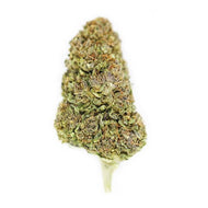 Hawaiian Haze CBD Hemp Flower Buds